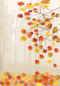 Danse des feuilles sous le ciel d'octobre